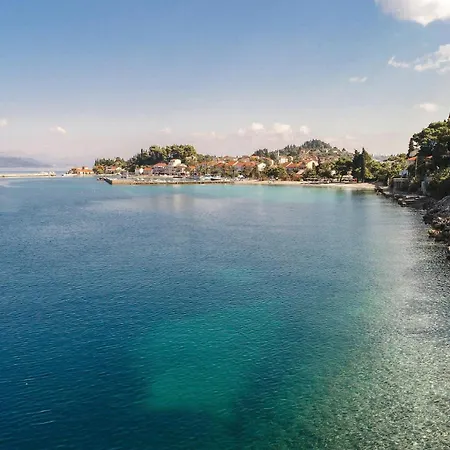 Put V * 特尔帕尼